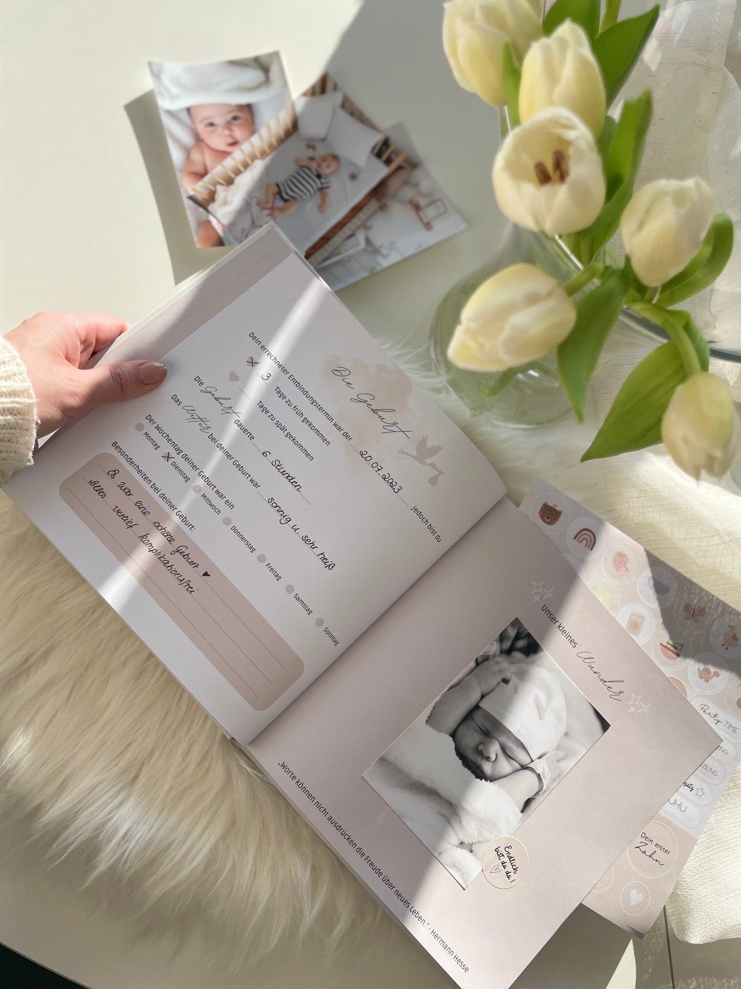 "Hello Baby"- Dein erstes Lebensjahr- BUNDLE